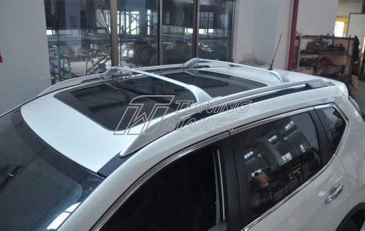 roof rack with roof rail 1