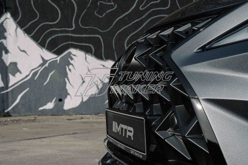 2021-02-03_MTR_Lexus_RX_300_Grey_Sochi_020 копия