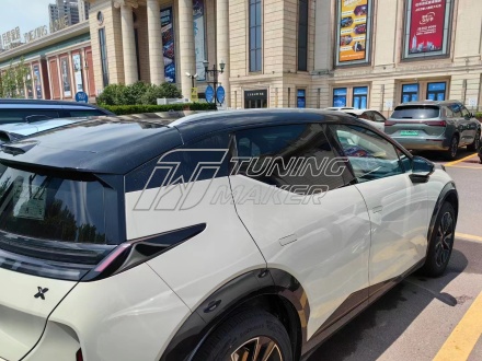 Zeekr X рейлинги Silver 1